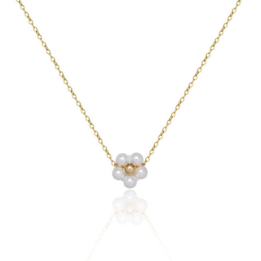Pearl Daisy